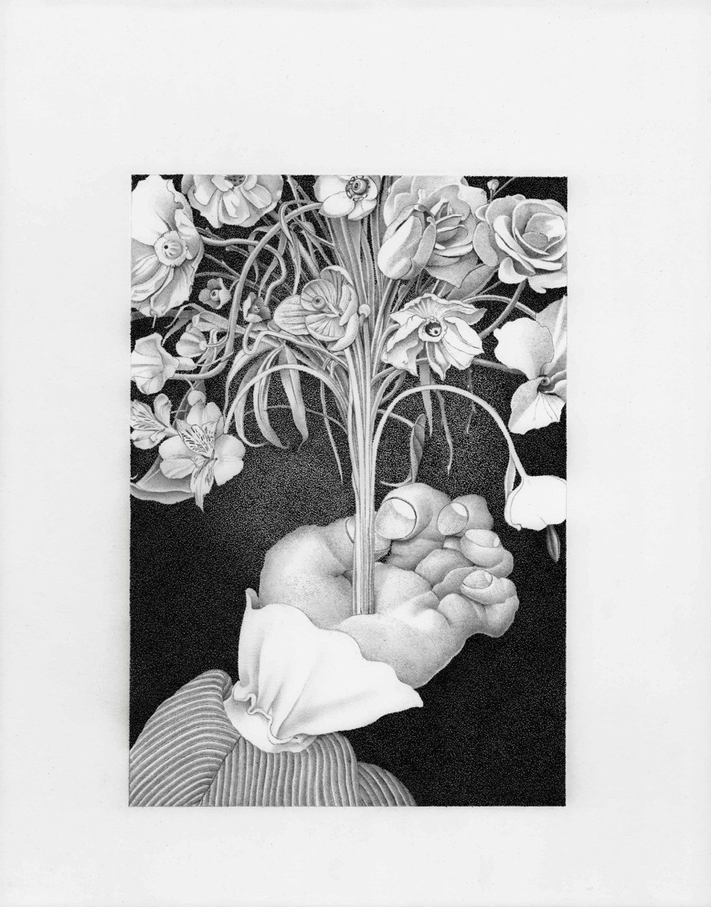 BOTANICAL MEDITATION 1
