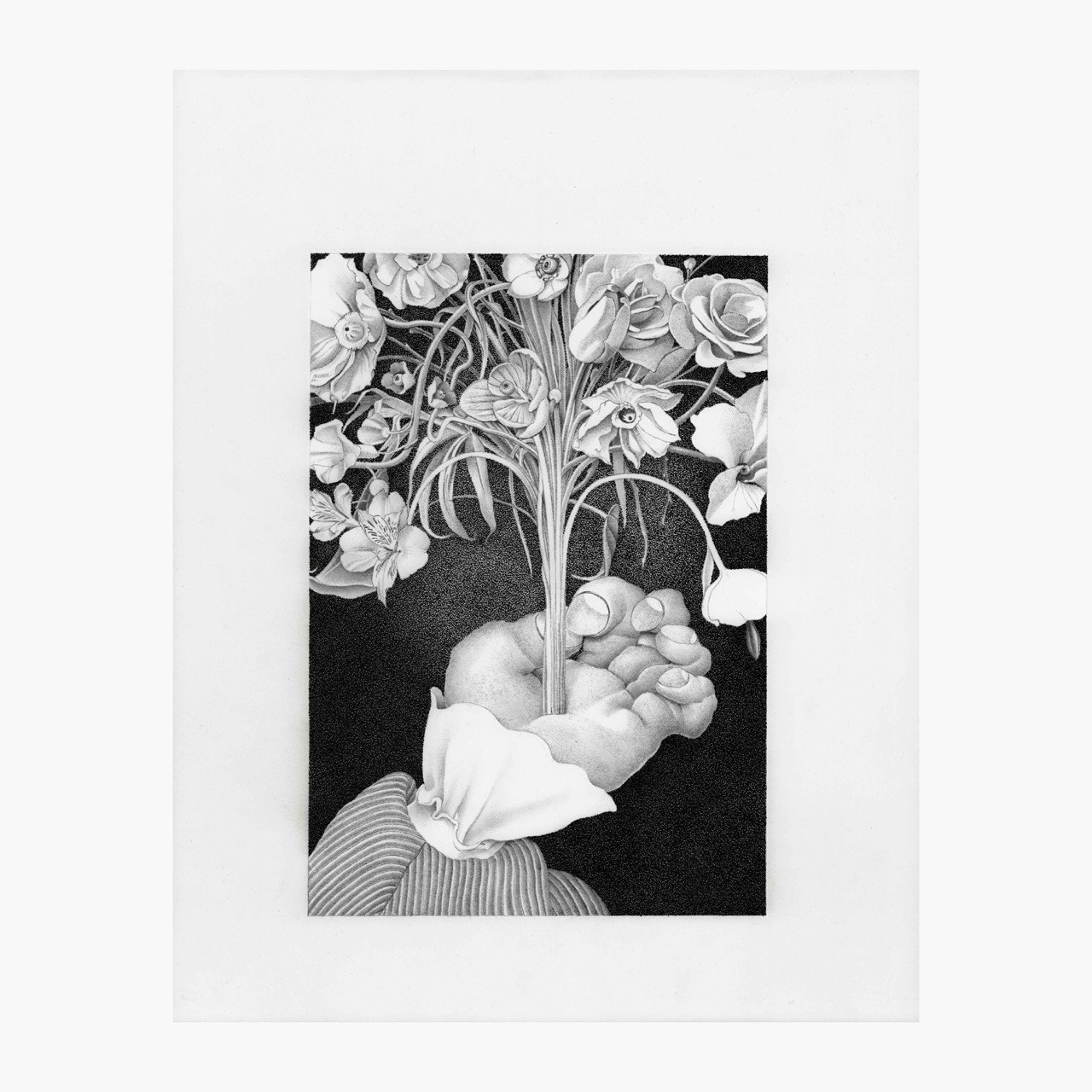 BOTANICAL MEDITATION 1