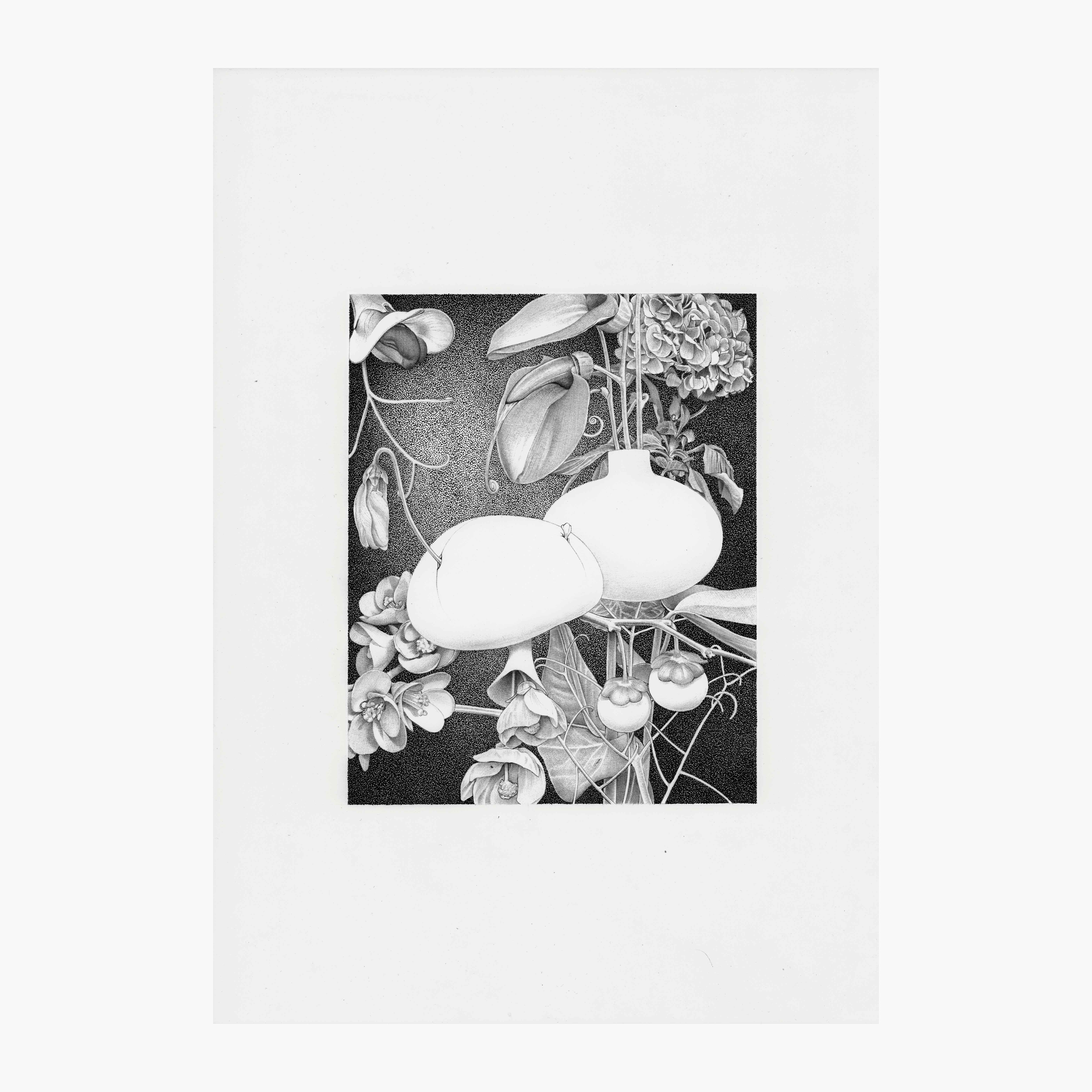 BOTANICAL MEDITATION 2
