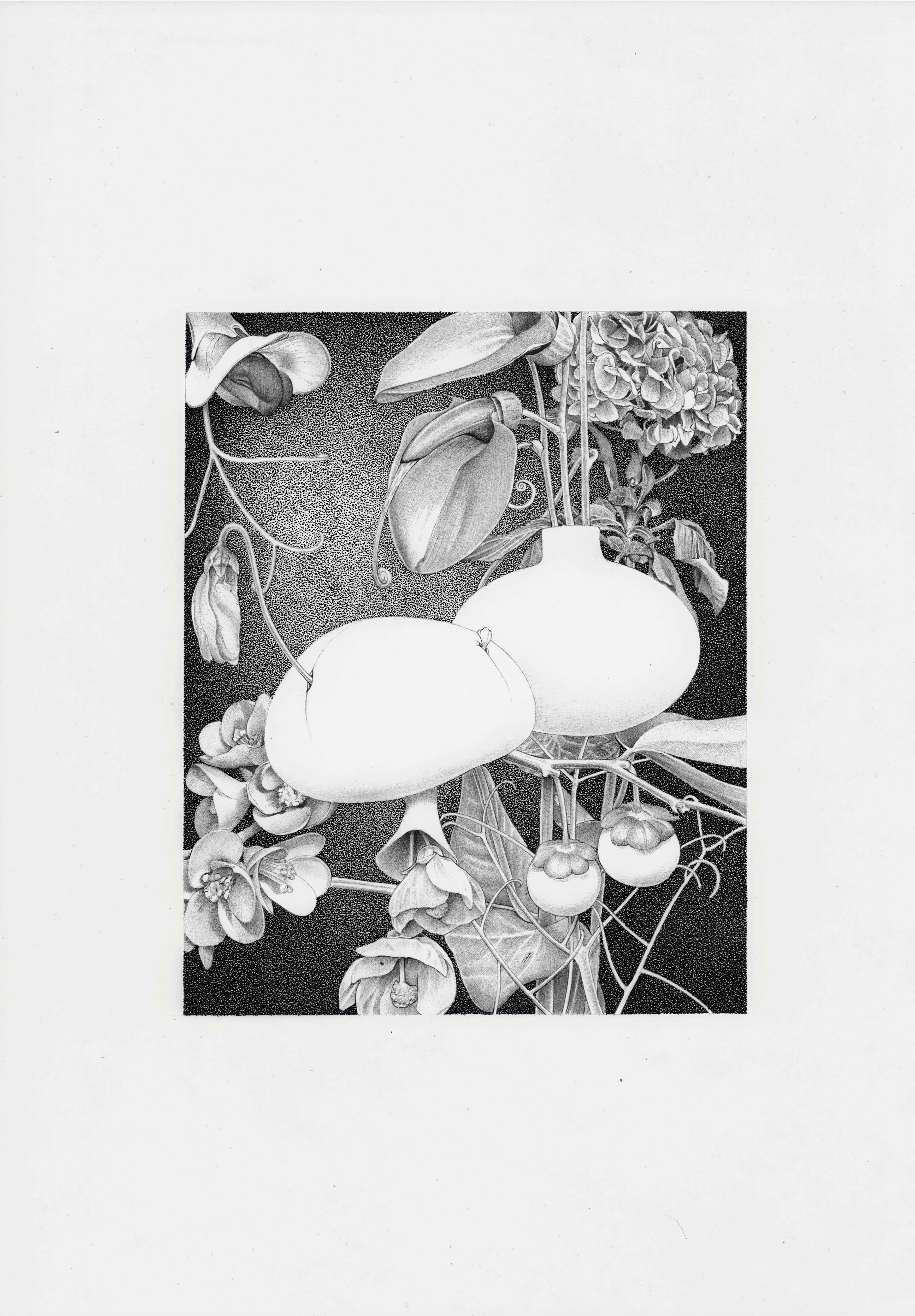 BOTANICAL MEDITATION 2