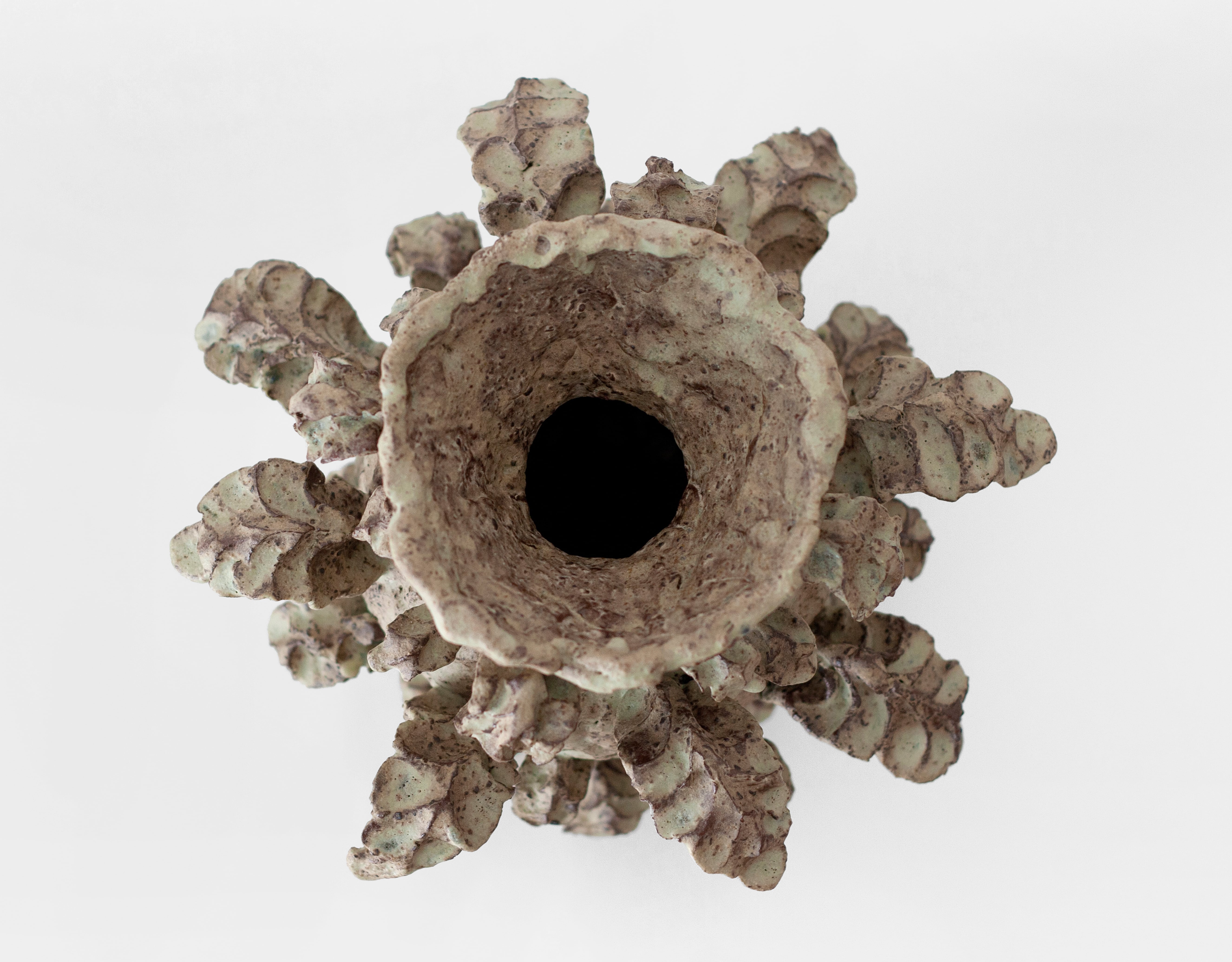 CLAY WIND