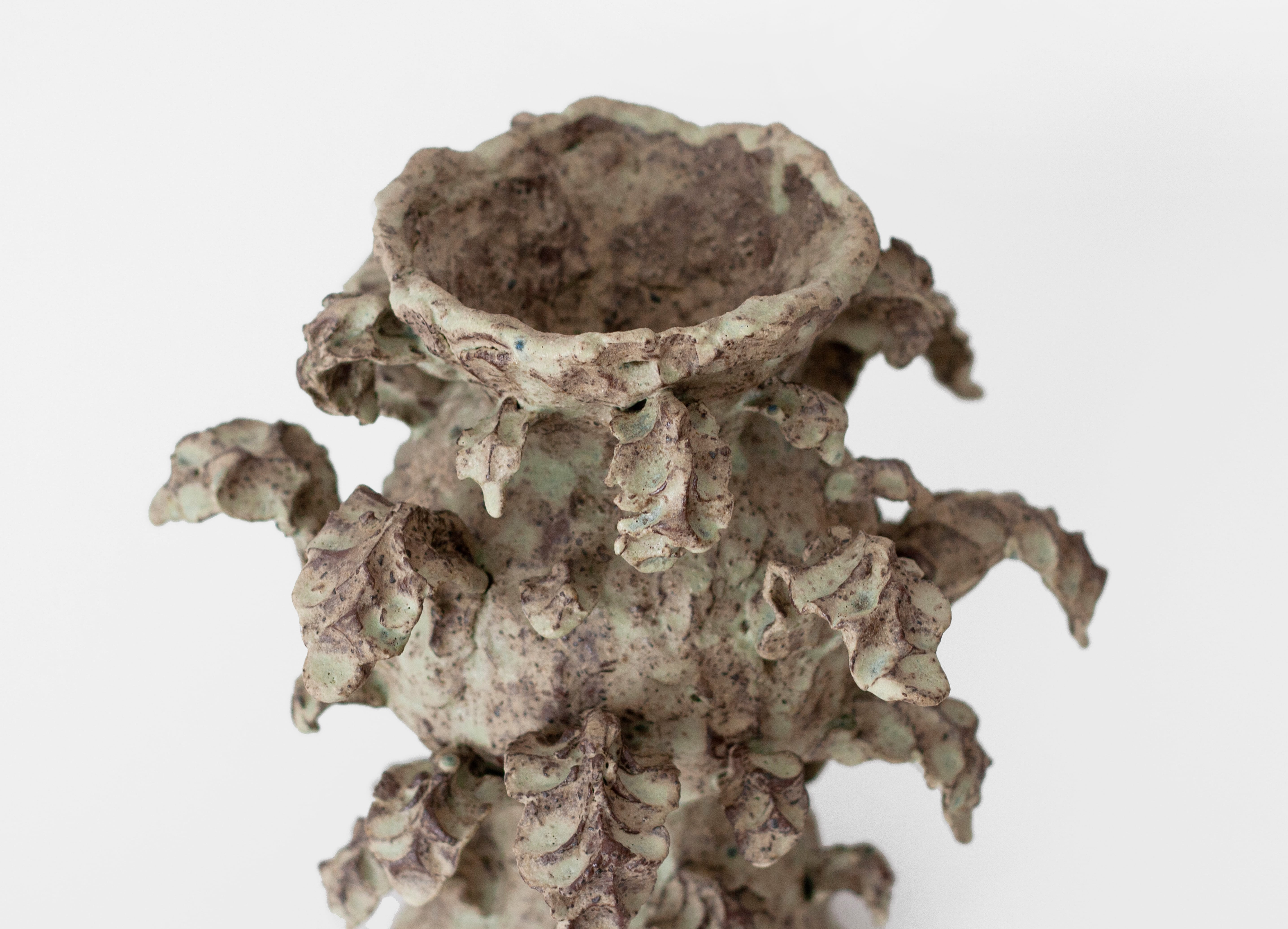 CLAY WIND