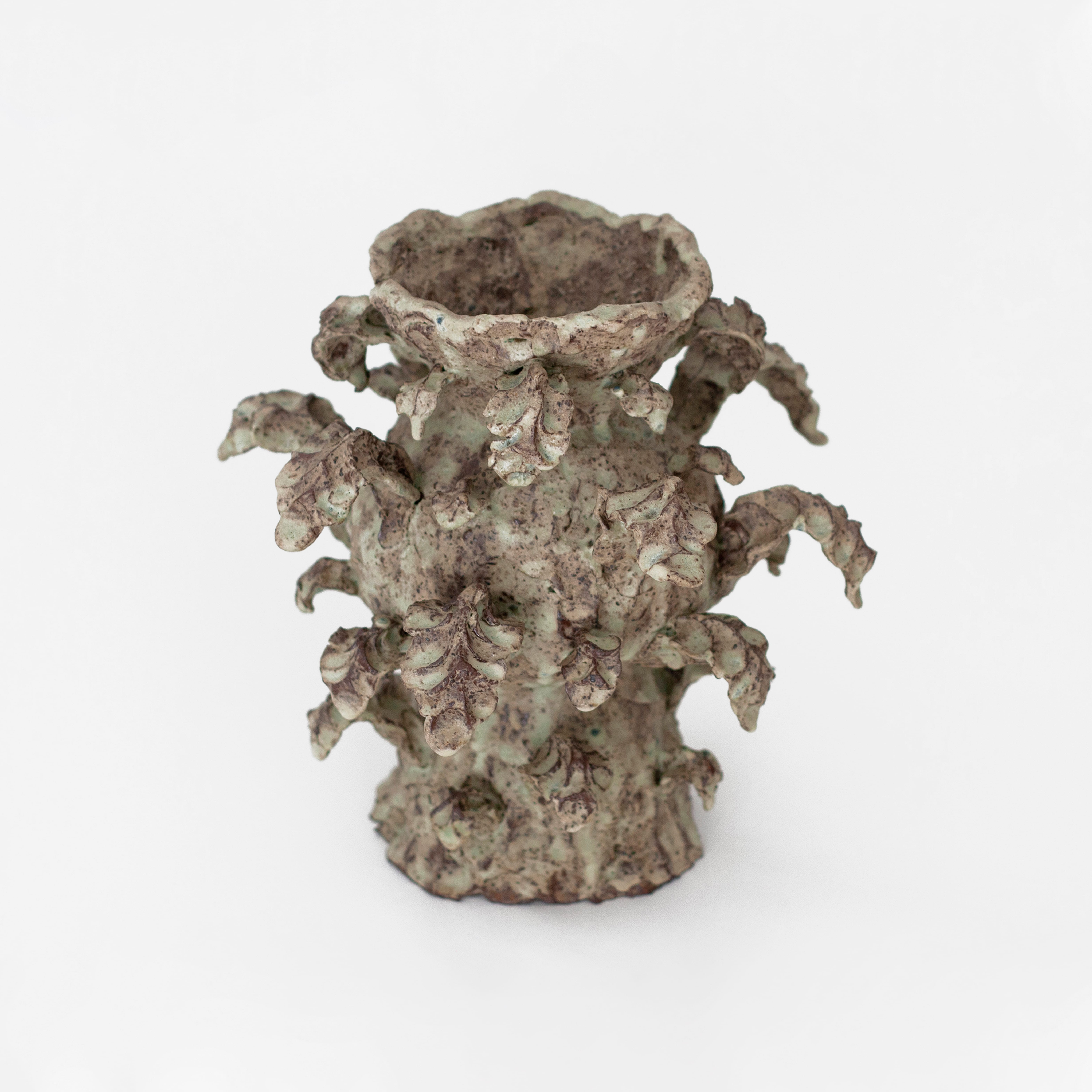 CLAY WIND