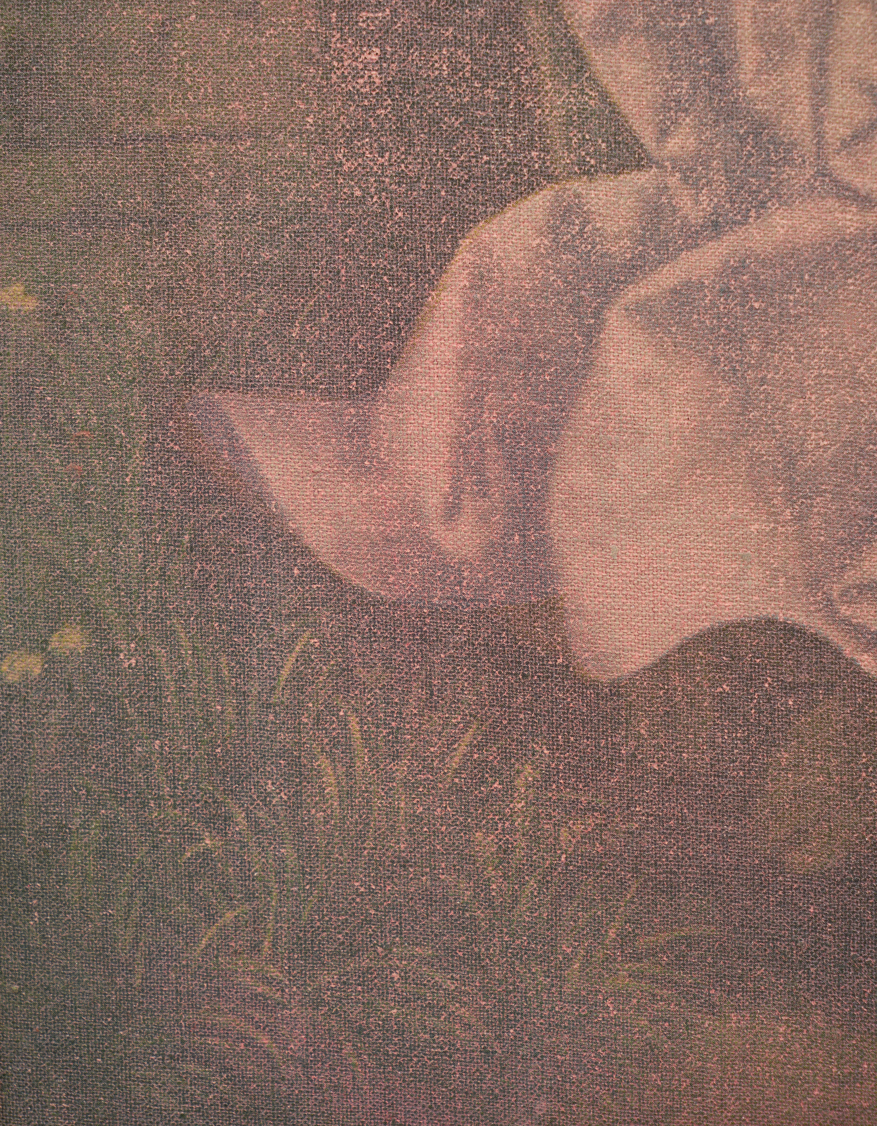 FROM THE LULLABY SERIES