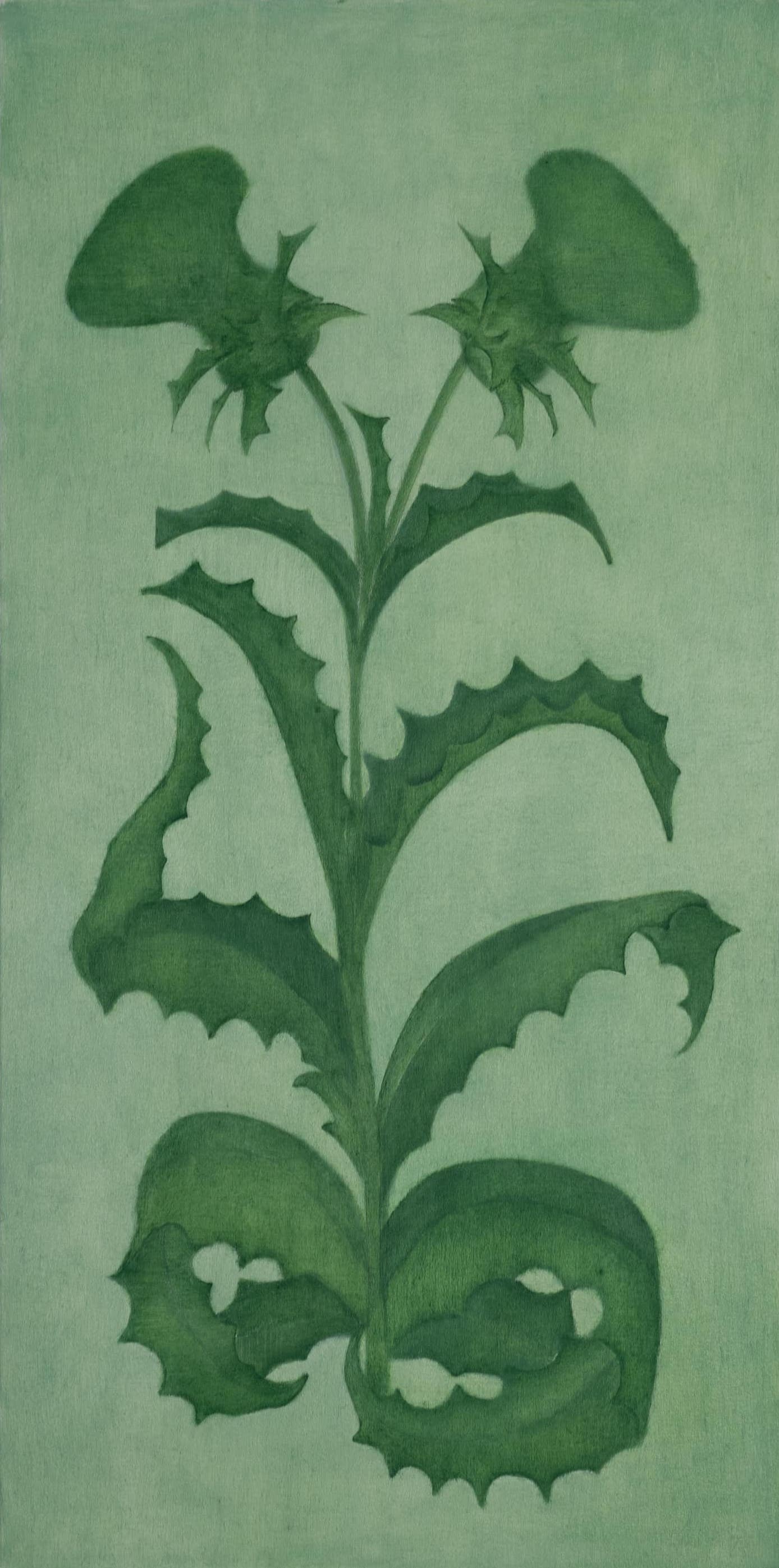 MILK THISTLE (FROM UNICORN IN CAPTIVITY)
