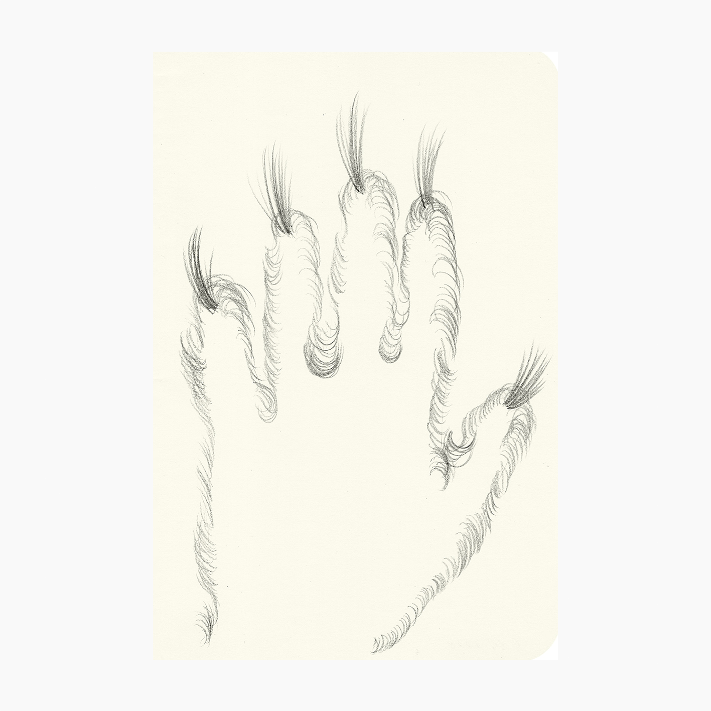 MY HAND