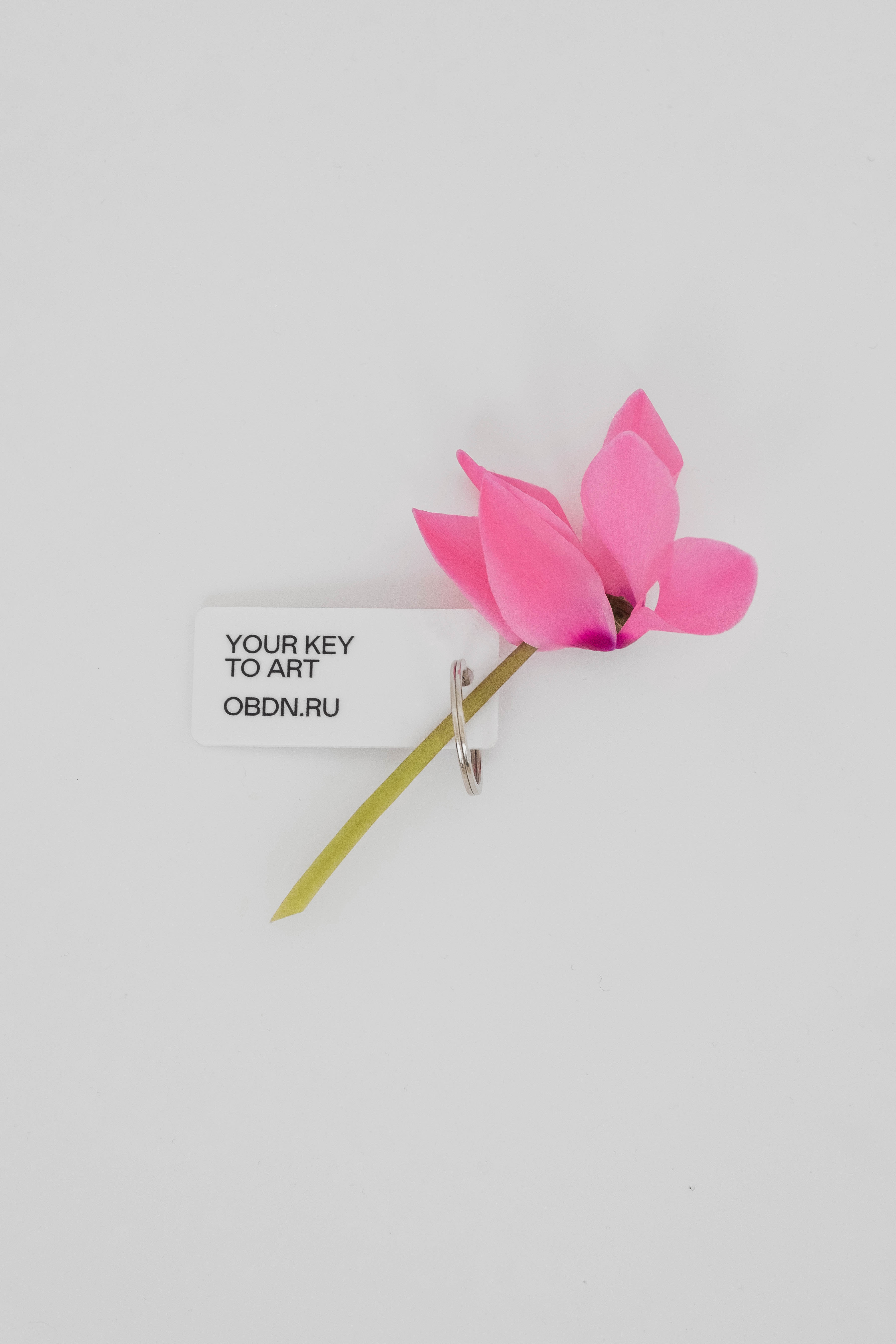 OBDN KEY-CHAIN by MISHA NIKATIN