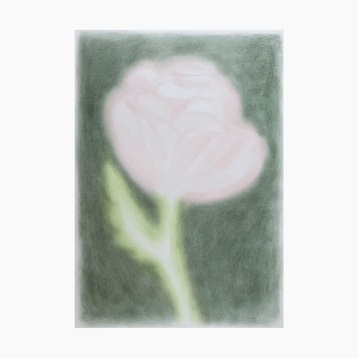LIGHT POPPY