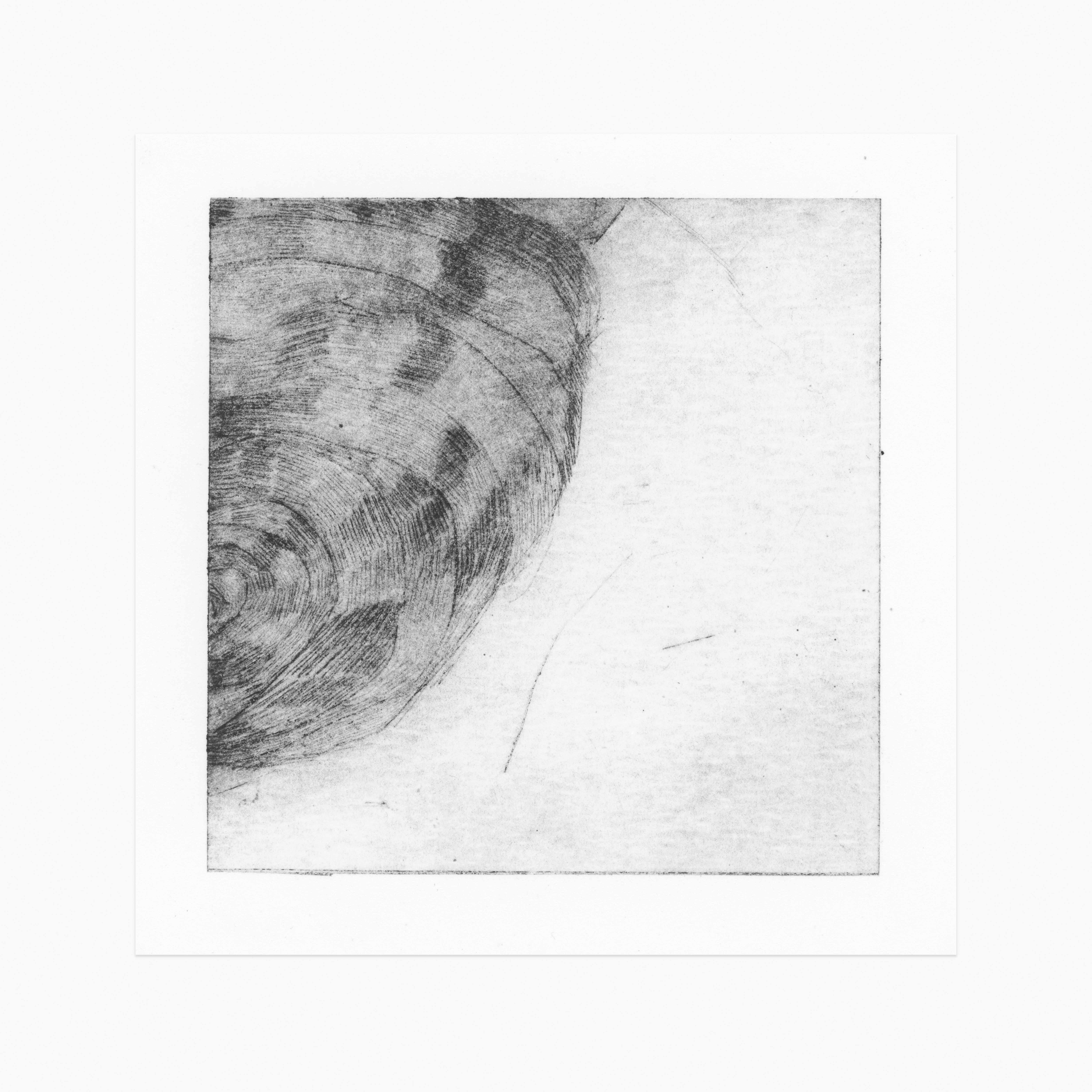 UNTITLED (5)