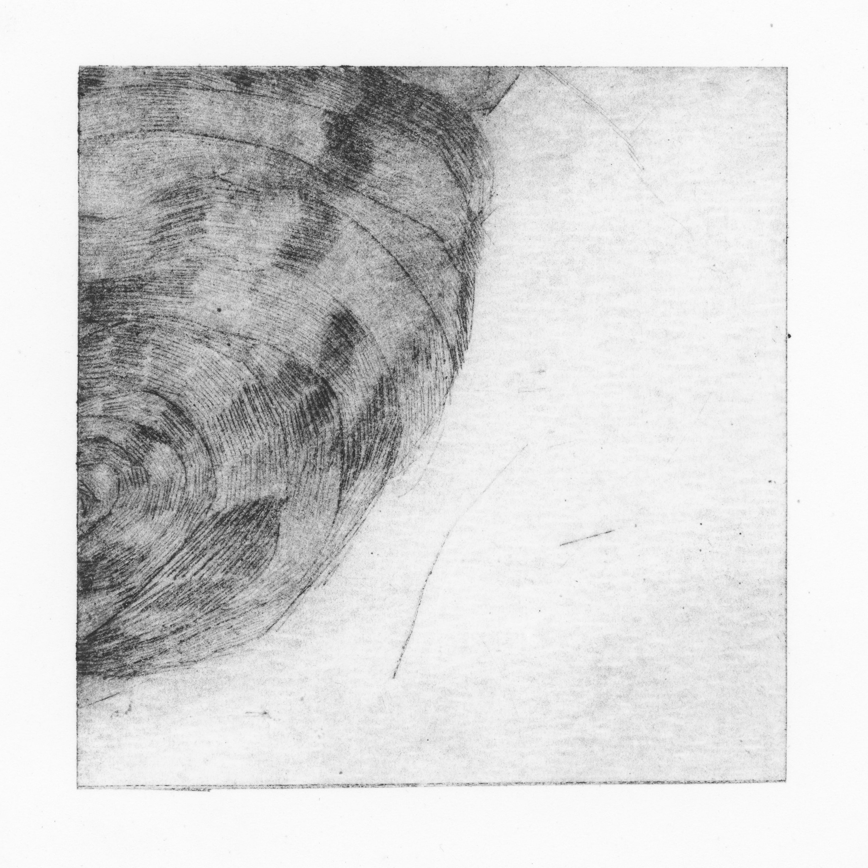 UNTITLED (5)